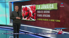 Load and play video in Gallery viewer, Prueba nuestra Livingwell Hibiscus Flower Extract Powder. Es rica en betacaroteno, vitamina C y antocianina: estos antioxidantes son capaces de destruir las moléculas dañinas que se conocen como radicales libres, que en ocasiones dañan a las células, al ADN y a las proteínas