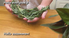 Load and play video in Gallery viewer, Regrow Hair From Pure Health Research