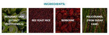 Load image into Gallery viewer, CL Balance for Cholesterol Control by Pure Health Research