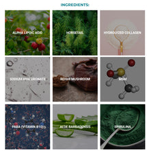 Load image into Gallery viewer, Pura Dermal Restore by Pure Health Research