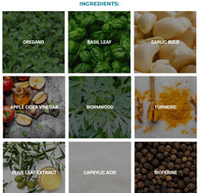 Load image into Gallery viewer, Fungus Eliminator From Pure Health Research