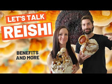 Load and play video in Gallery viewer, Reishi Mushroom Extract by Bulk Supplements