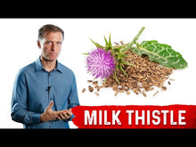 Load and play video in Gallery viewer, Milk Thistle Extract From Bulk Supplements