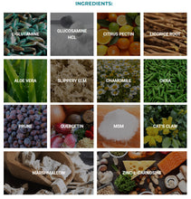 Load image into Gallery viewer, Leaky Gut Revitalize From Pure Health Research