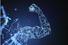 Load image into Gallery viewer, To build healthy muscle tissue, you need protein. Protein is necessary for nearly every function in the body and every structure. There are 20 different amino acids. We need the nine essentials—histidine, isoleucine, leucine, lysine, methionine, phenylalanine, threonine, tryptophan, and valine—to support many processes that happen within our body. Each amino acid has more than one role; they function as a metabolic signal and are necessary building blocks