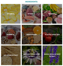 Load image into Gallery viewer, Nerve ReGEN by PureHealth Research