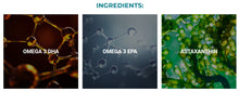 Load image into Gallery viewer, Nano Powered Omega 3 From Pure Health Research