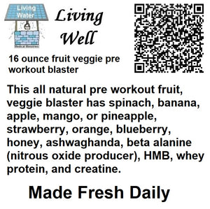 Livingwell 16 ounce fruit veggie pre workout blaster