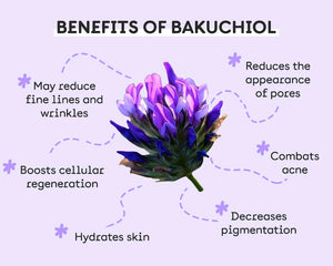 Livingwell Bakuchiol Blend with castor oil, cocounut oil, and olive oil