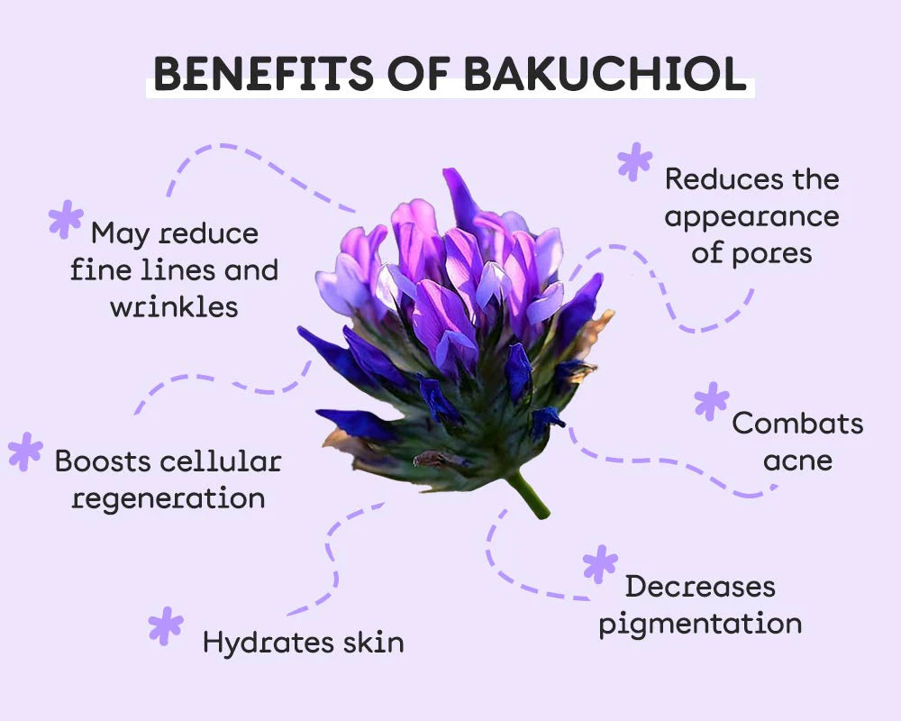 Livingwell Bakuchiol Blend with castor oil, cocounut oil, and olive oil