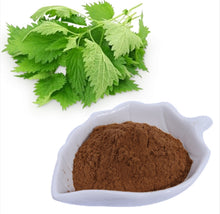 Load image into Gallery viewer, Stinging nettle is most commonly used for diabetes and osteoarthritis. It is also sometimes used for urinary tract infections (UTIs), kidney stones, enlarged prostate, hay fever, and other conditions. Try Livingwell Organic Stinging Nettle Extract Powder.
