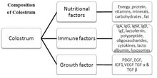 Load image into Gallery viewer, Bovine colostrum may strengthen your immune system and help your body fight disease-causing agents.  The immune-boosting effects of colostrum are mostly due to its high concentration of the antibodies IgA and IgG. Antibodies are proteins that fight viruses and bacteria.  Try Livingwell Colostrum Powder.
