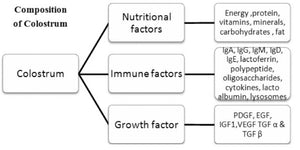 Bovine colostrum may strengthen your immune system and help your body fight disease-causing agents.  The immune-boosting effects of colostrum are mostly due to its high concentration of the antibodies IgA and IgG. Antibodies are proteins that fight viruses and bacteria.  Try Livingwell Colostrum Powder.