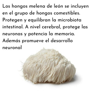 Try Livingwell Organic Lion's Mane Powder. La Melena de león comprende varios compuestos bioactivos y polisacáridos, que se ha descubierto que tienen varios beneficios para la salud. Se cree que ayuda al cuerpo de muchas maneras, como la reducción de la inflamación, la regulación del sistema inmunitario y la promoción del bienestar mental. Varios estudios han demostrado su papel potencial en la promoción de la salud cerebral en diversas enfermedades y trastornos.