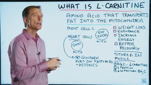 L-Carnitine L-Tartrate (LCLT) Powder may boost the production of nitric oxide, which improves blood flow. L-carnitine L-tartrate: This is commonly added to sports supplements due to its rapid absorption rate. It may aid muscle soreness and recovery in exercise 