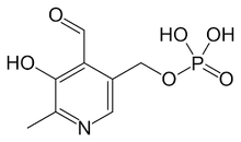 Load image into Gallery viewer, apoya la función cardiovascular y ayuda a liberar la energía almacenada, lo que puede promover el crecimiento y la recuperación muscular
