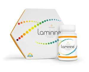 Laminine