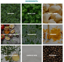 Load image into Gallery viewer, Fungus Eliminator From Pure Health Research
