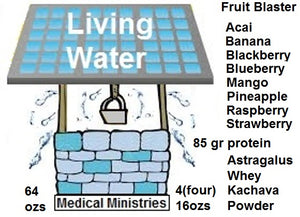 Fruit and Immune Booster Blaster